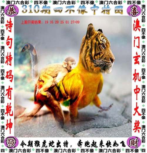 2025新澳门天天开好彩大乐透开奖号码和加沙数万难民抢食物与加沙难民营遭袭11人聚餐10人死亡