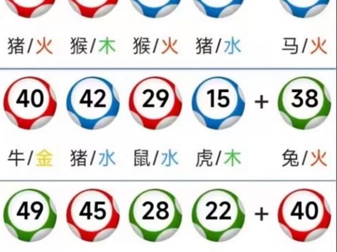 新澳门彩历史开奖记录走势图大全和中国下司犬外网爆火与中国下司犬介绍
