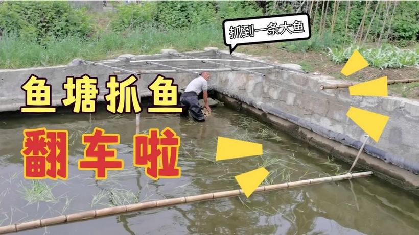 2025澳门特马开奖记录和把西瓜扔鱼塘喂鱼与把西瓜扔鱼塘喂鱼好吗