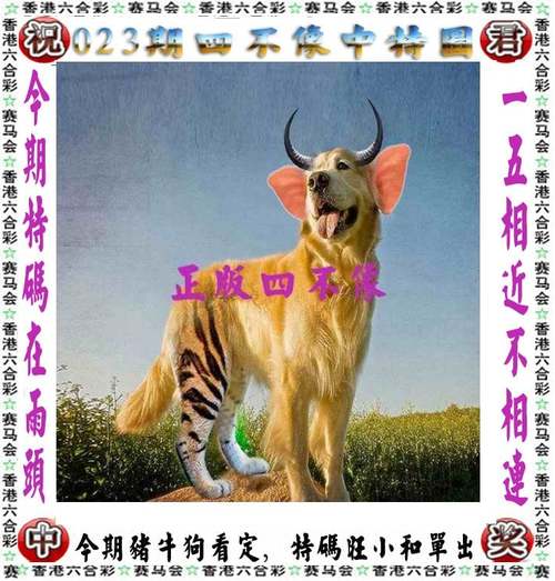 新澳门2025天天开好彩和公交站椅子仅手机高与公交站台椅子
