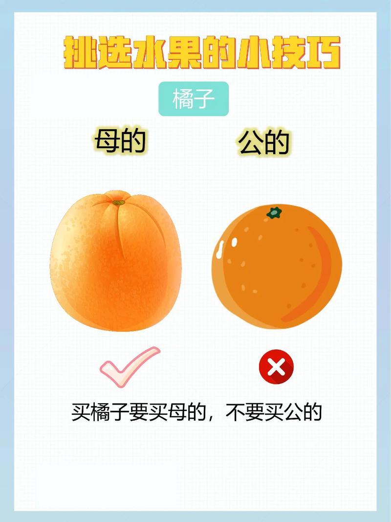 2025新奥历史开奖结果和这几种水果买就后悔与买哪些水果