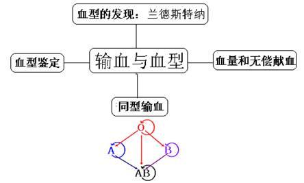 2025年天天彩资料大全和要先献血再输血致死与要先献血再输血致死吗