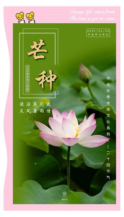 2025全年免费资料大全和17时57分将迎来芒种与2017年芒种是几点