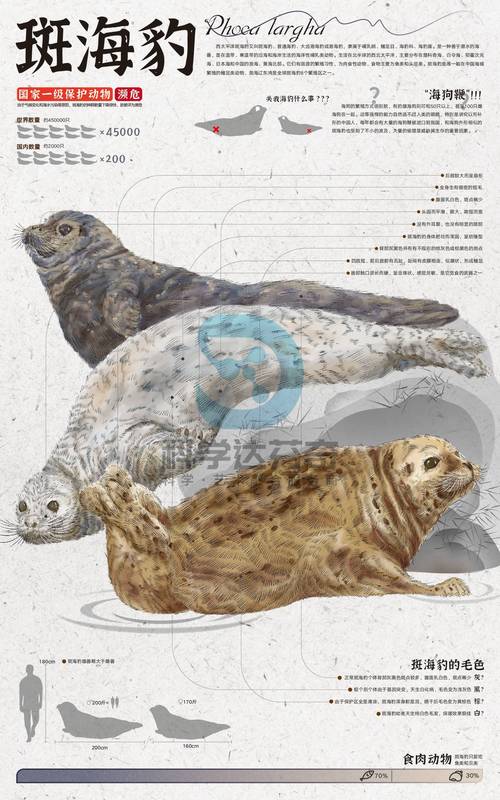 新澳2025天天正版资料和9只斑海豹放归大海与9只斑海豹放归大海了吗